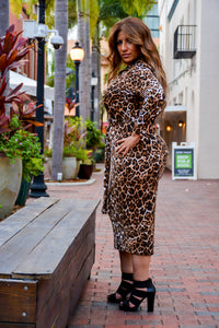 Leopard Me Crazy